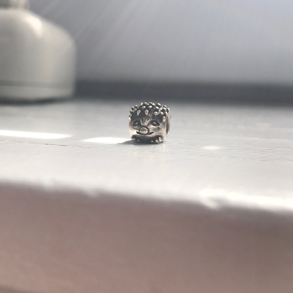 Pandora charm